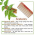 Keya Seth Aromatherapy Neem Wooden Comb Hair Growth for Men & Women Small Size
