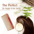 Keya Seth Aromatherapy Neem Wooden Comb Hair Growth for Men & Women Small Size