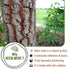 Keya Seth Aromatherapy Neem Wooden Handle Comb for Men & Women