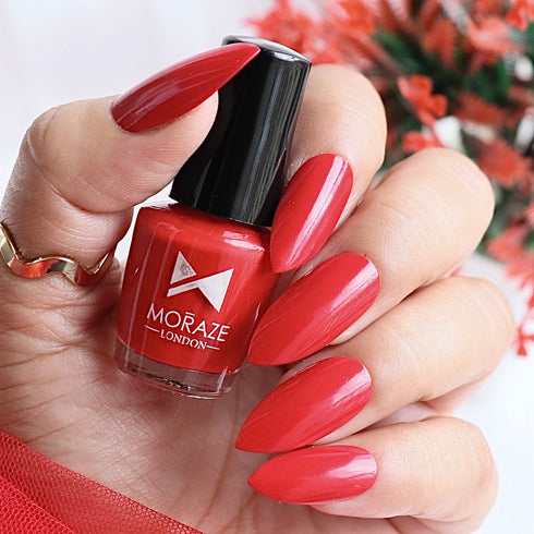 Moraze Cosmetics Premium Summer Nail Polish Kit