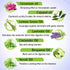 Keya Seth Aromatherapy Neutral-Stomach Pain & Flatulence Control Therapeutic Essential Oil