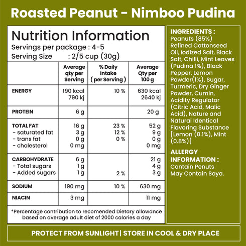 Jabsons Foods Nimboo Pudina Roasted Peanuts
