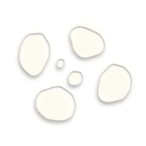 Omorfee India Focus And Concentration Aroma-Therapy