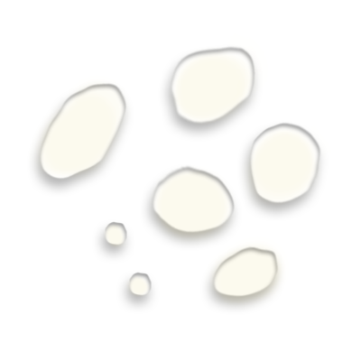 Omorfee India Spicy Bloom Aroma-Therapy