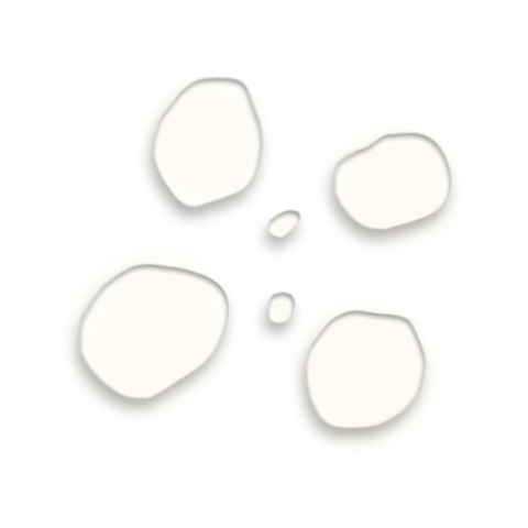 Omorfee India Ylang Ylang Essential Oil