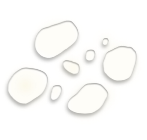 Omorfee India Tea Tree Essential Oil