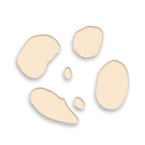 Omorfee India Frankincense Essential Oil