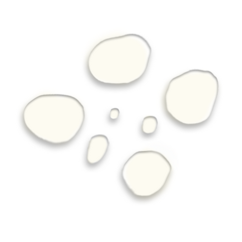 Omorfee India Geranium Essential Oil