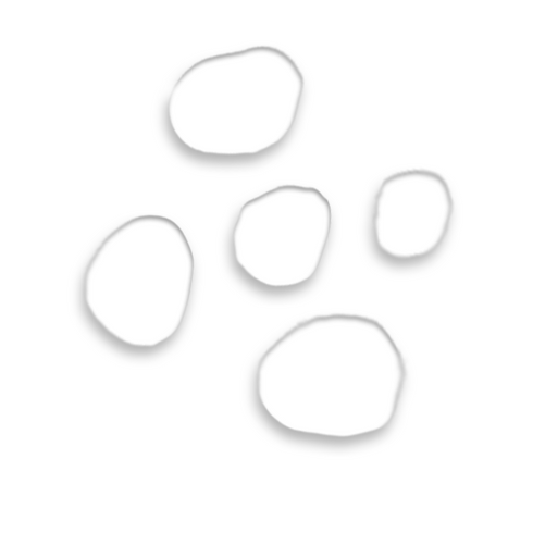 Omorfee India Eucalyptus Essential Oil