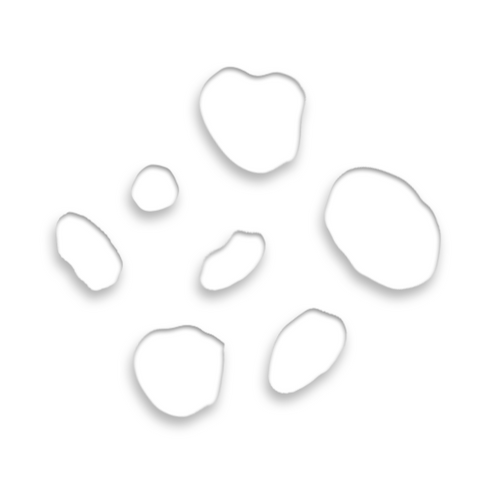 Omorfee India Peppermint Essential Oil