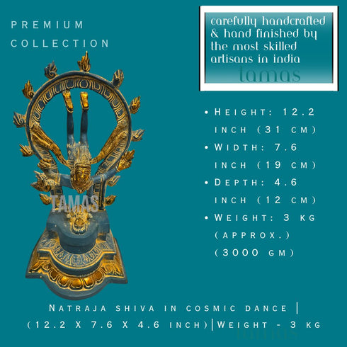 Tamas Brass Natraja shiva in cosmic dance