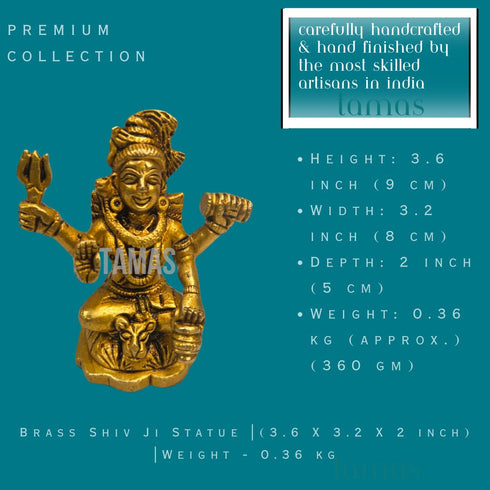 Tamas Brass Shiv Ji Statue