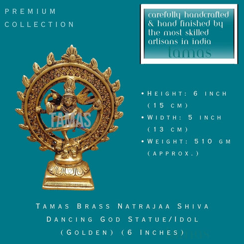 Tamas Brass Natrajaa Shiva Dancing God Statue/Idol