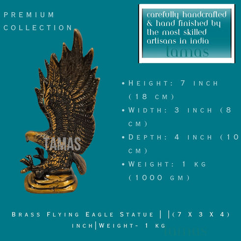 Tamas Brass Flying Eagle Statue
