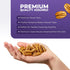 Pureheart Premium Pecan Nuts 180g | Premium Natural Pecans | Healthy Dry Fruits Snack | Rich in Protein | Fibre & Antioxidants | Ideal for Snacking & Baking