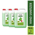 Keya Seth Aromatherapy Ankush Hand Sanitizer