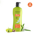 Vasuestore Trichup Hair Fall Control Natural Shampoo