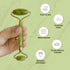 Moraze Cosmetics Jade Roller Face Massager Tool with FREE Gua Sha