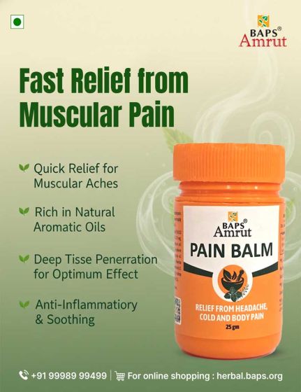 Baps Amrut Pain Balm 25g
