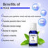 Keya Seth Aromatherapy Peace - Tension & Stress Reliever Natural Therapeutic Essential Oil