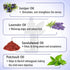 Keya Seth Aromatherapy Peace - Tension & Stress Reliever Natural Therapeutic Essential Oil