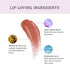 Lovetc Gloss Glee Etc High Glaze Lip Gloss