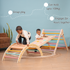 Ariro Toys Pikler Triangle and Pikler Arch - Semi Colored