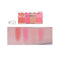 Shield Cosmetics Contour Palette