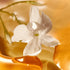Oriflame Enchanting Jasmine Hand & Body Wash