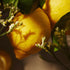 Oriflame Lemon & Verbena Hand & Body Wash