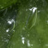 Oriflame Smoothing Shaving Gel with Aloe Vera