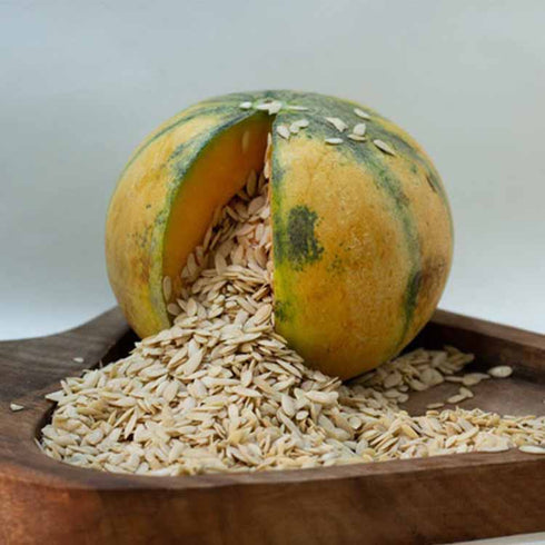 Healthy Master Muskmelon Seeds |Kharbuja | Plain
