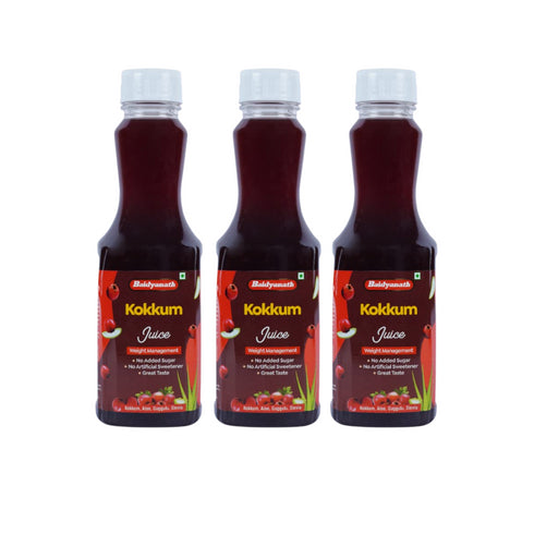 Baidyanath Kokkum Ready to Drink Juice