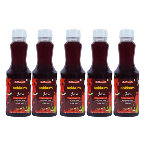 Baidyanath Kokkum Ready to Drink Juice