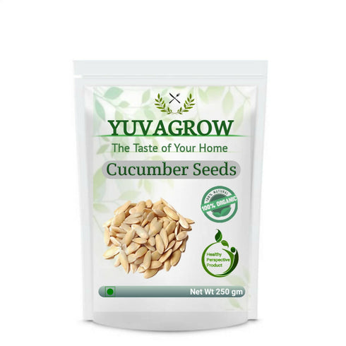 Yuvagrow Cucumber Seeds