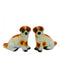Rainbow Art Gallery Brown Dog Pair