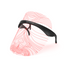 Chosen Light Routine LED Mask