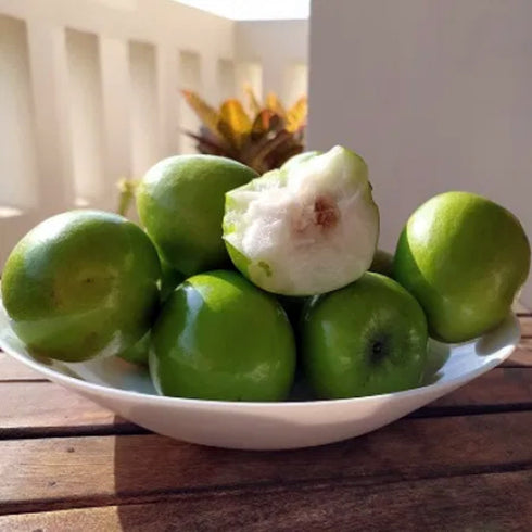 Prakruthi Big Indian Jujube|Regi Pallu 450g