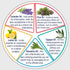 Keya Seth Aromatherapy Relief Oil Relieving Oil