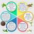 Keya Seth Aromatherapy Relief Oil Relieving Oil