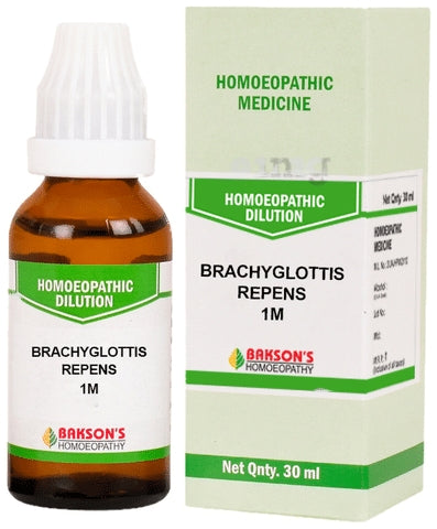 Bakson's Homeopathy Brachyglottis Repens 10M