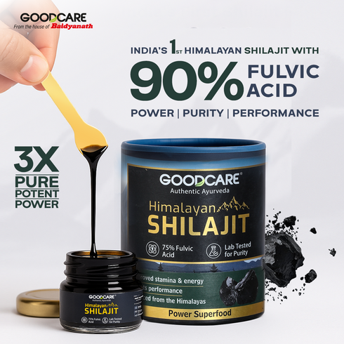 Goodcare Himalayan Shilajit Resin