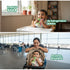 Rorosaur Pear-Y Green Baby Puree