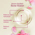 Vilvah Store Rose Water Facial Toner