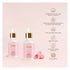 Vasuestore R&G Vitamin C Face Serum
