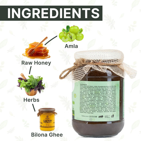 ROSIER Amlaprash | Chyawanprash