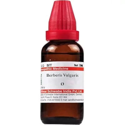 Dr Willmar Berberis Vulgaris Mother Tincture Q 100ml