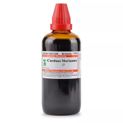 Dr Willmar Carduus Marianus Mother Tincture Q 100ml