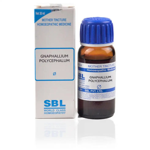 SBL Gnaphalium Polycephalum Mother Tincture Q