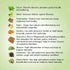 Keya Seth Aromatherapy Shakti - Ayush Kadha Powder for Immunity Enriched